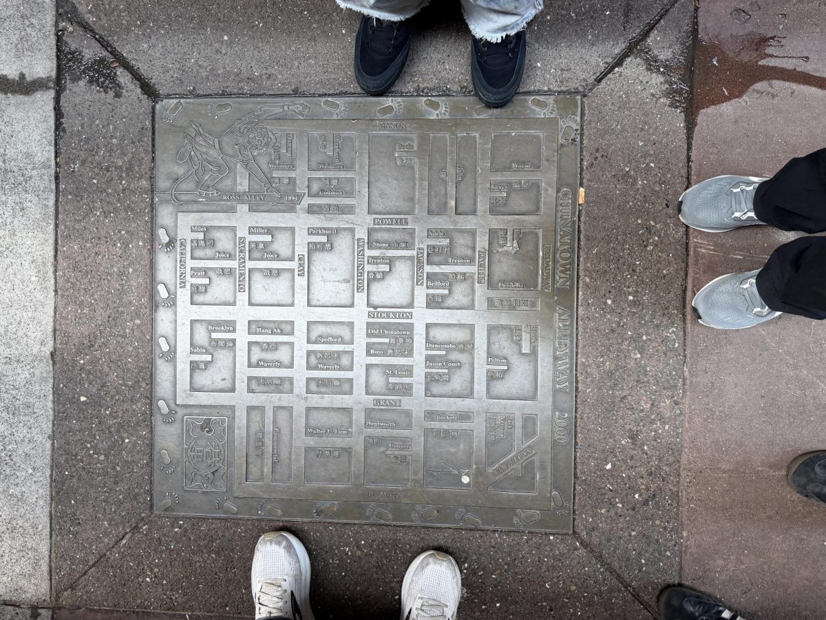 A map of the alleyways in Chinatown. 