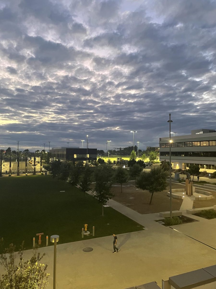 Image of the sunset view from the El Portal study room, featuring a view of the Bobcats statue.